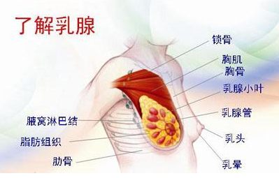 乳腺增生的常见症状有哪些